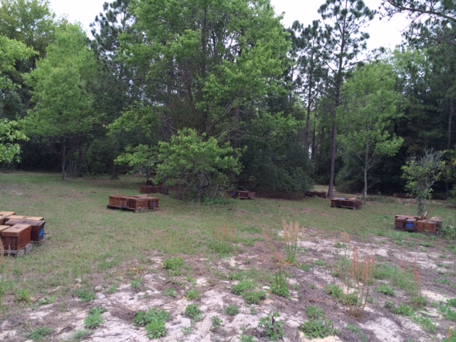 Notice the blue marks we had to put on some boxes to give the mating quees more reference marks.