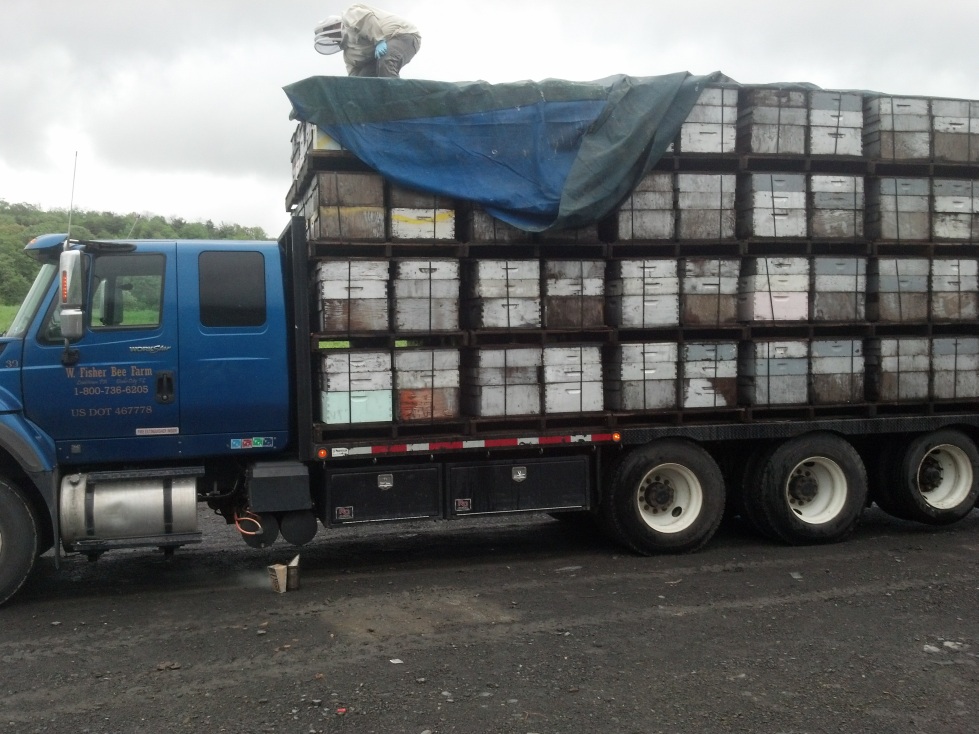 Netting the whole load is tedious but necessary.